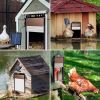 Automatic Chicken Coop Door SolarPowered Chicken Door LCD Displayand Roll-up Door Anti-pinch FeatureChicken Coop Door Solar Powered Chicken Door Opene